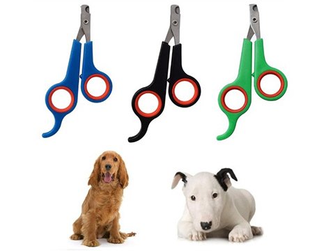 Evcil Hayvan amp; Kedi Köpek Tırnak Makası