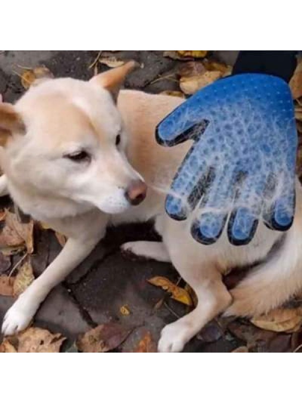 Solaklar İçin Kedi ve Köpek İçin Tüy Toplama Eldiveni - görsel 2